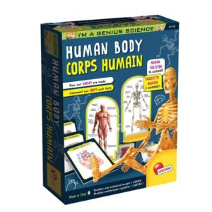 Liscianis Human Body Creative Educational Toy for Kids